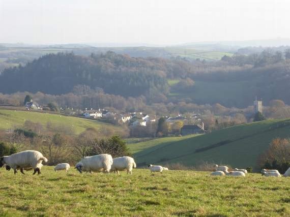 Staverton Neighbourhood Plan passes by a landslide