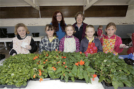 Green-fingered Brownies have flower power!