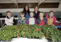 Green-fingered Brownies have flower power!