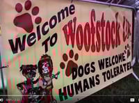 Grrrrr... we don’t want a Dartmouth dog festival!