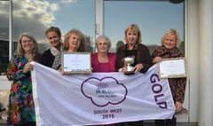 Gold medal for Dartmouth in South West in Bloom Awards