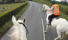 Girl’s lucky escape after car hits pony