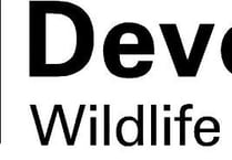 Devon Wildlife Trust urges public to go wild in June