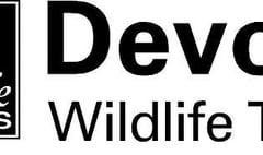 Devon Wildlife Trust urges public to go wild in June