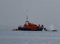 Video: Dartmouth RNLI rescues 5 men and a whale