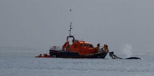 Video: Dartmouth RNLI rescues 5 men and a whale
