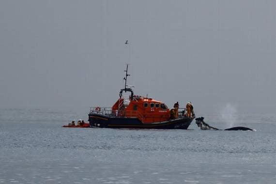 Video: Dartmouth RNLI rescues 5 men and a whale