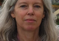 Councillor's donkey cruelty case adjourned