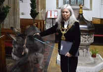Senior Devon Green Party politician faces donkey welfare charge