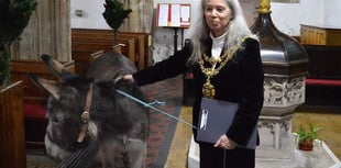 Senior Devon Green Party politician faces donkey welfare charge
