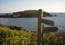 An array of winter walks in the South Hams