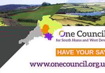 Councillors disappointed with merger survey turnout