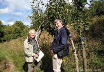 Sowing the seeds of parish community orchard