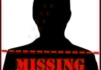 Man missing from Ivybridge