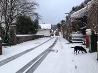 Hospital outpatient services are postponed and the trust appeals to staff to come in