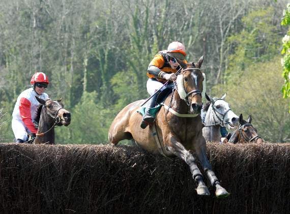 Point-to-point horse racing cancelled by Storm Dennis