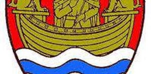 Town council meeting postponed