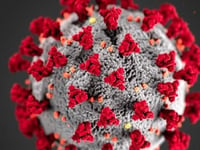 Latest coronavirus figures bring good news