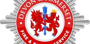 Fire crews tackle greenhouse and shed blaze
