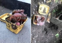 Gnasher stasher: Woman makes jaw-dropping discovery while digging up garden