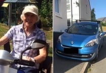 Kingsbridge pensioner's pavement parking plea to drivers