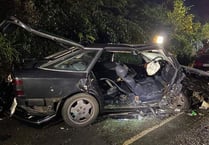 Trapped man freed from tree-crushed car