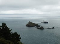 Protect Mewstone seabirds at Wembury