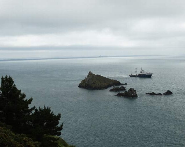 Protect Mewstone seabirds at Wembury