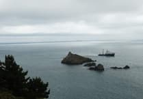 Support seabird conservation at Wembury