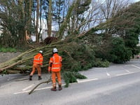 South Hams slowly returns to normal following a trio of storms
