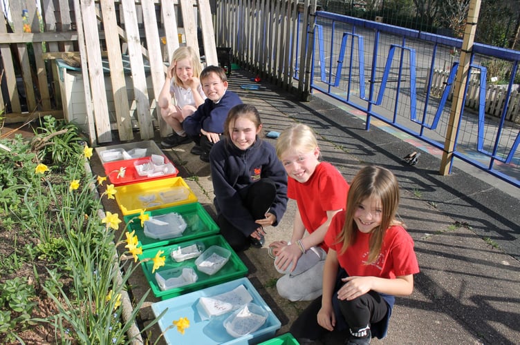 Caleb, Lexton, Ria, Hattie, and Thorn with their floating gardens