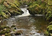River Erme workshop