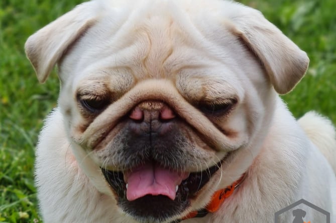 face close up