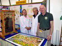 Bees, bees and more bees at Devon County Show 