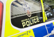 Appeal for information on A38 collision