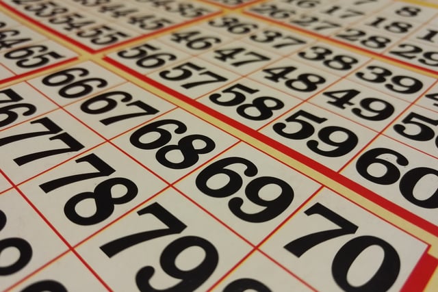 Dartmouth's Nigel Sharp organises charity bingo night 