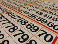 Dartmouth's Nigel Sharp organises charity bingo night 