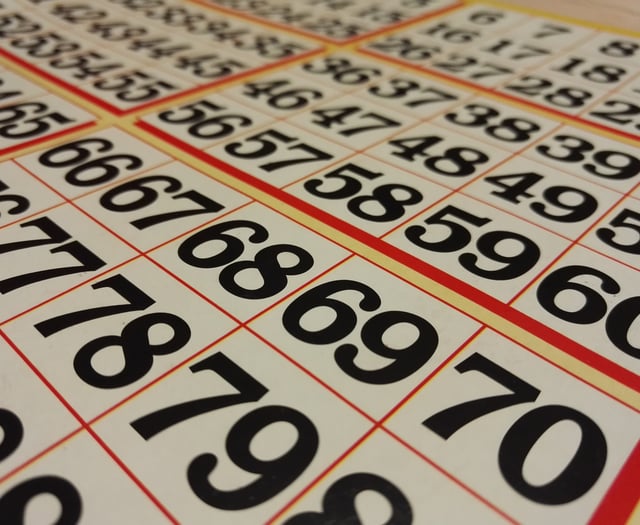 Dartmouth's Nigel Sharp organises charity bingo night 