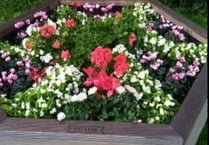 More green-fingered success for the South Hams