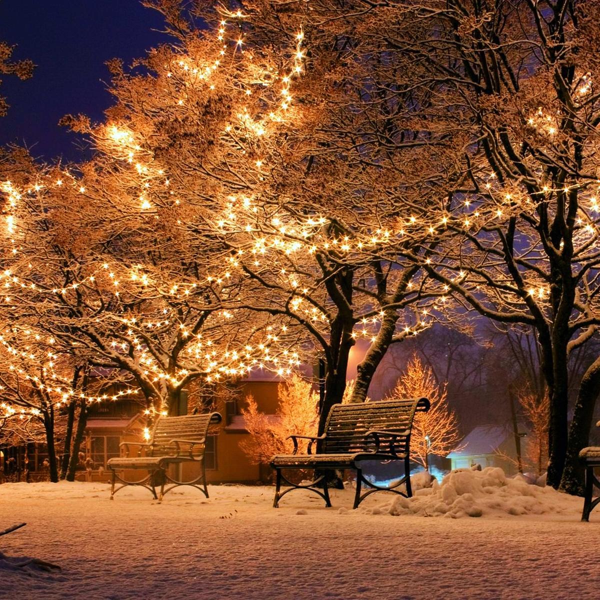 Christmas fair craft wprc whitnall park stories dec posted rotary club Christmas fairs come to the South Hams | dartmouth-today.co.uk