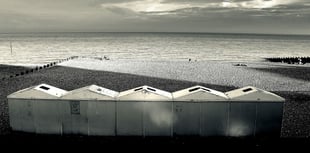 Covid legacy inspires pics