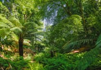 Campaign urges locals to visit tourist attractions