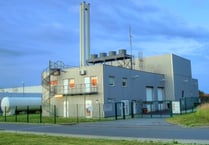 Can biomass replace fossil fuels in our power stations?