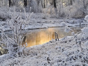 Snow and more ice on the way as Yellow Warning issued