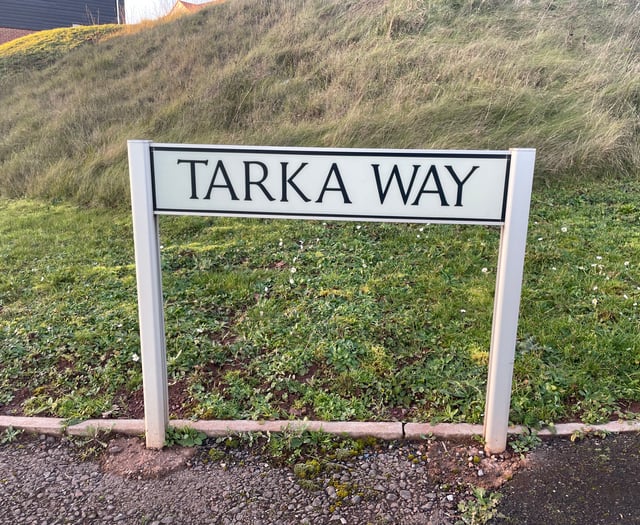 Man who killed cat with hammer is not banned from keeping animals
