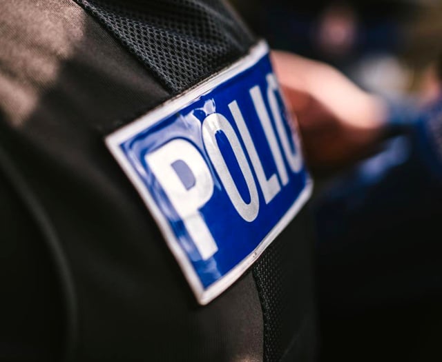 Illegal music event shut down at Haldon Forest
