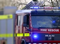 300 sheep escape South Milton barn fire