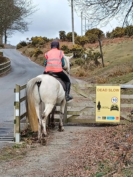 New signs to slow speed around horses in Devon