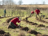 Charities send urgent SOS for nature