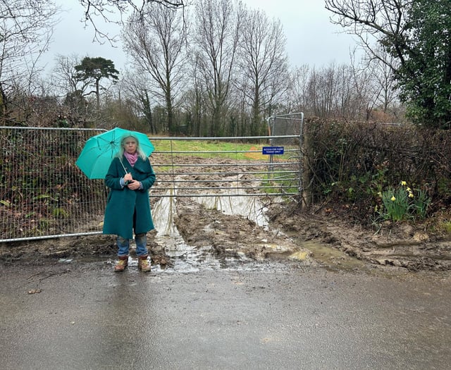 Fears rare field is being ‘destroyed’ by developers